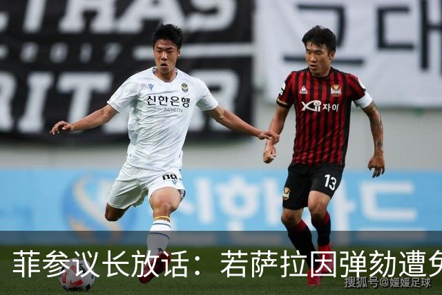 菲参议长放话：若萨拉因弹劾遭免职，将因利益冲突拒绝接任！